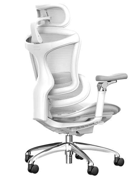 Крісло SIHOO DORO-C300 WHITE ергономічне