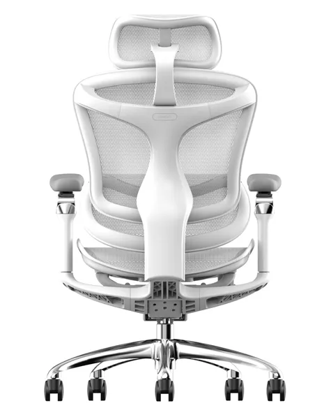 Крісло SIHOO DORO-C300 WHITE ергономічне