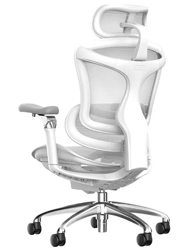 Крісло SIHOO DORO-C300 WHITE ергономічне