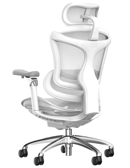 Крісло SIHOO DORO-C300 WHITE ергономічне