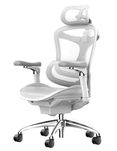 Крісло SIHOO DORO-C300 WHITE ергономічне
