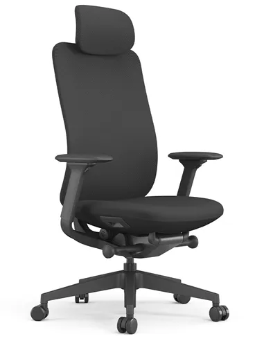 Кресло KRESLALUX ANTLER EAN-001A BLACK, эргономичное