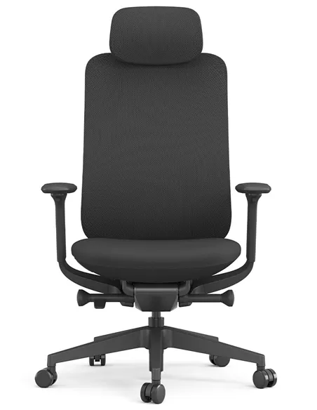 Кресло KRESLALUX ANTLER EAN-001A BLACK, эргономичное