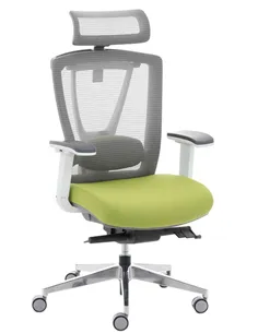 Крісло ERGO CHAIR 2 GREEN ергономічне