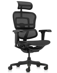 Крісло ERGOHUMAN ULTRA ALL BLACK (EHU-BB-HAM-4D, сітка T-168-B1 BLACK), ергономічне