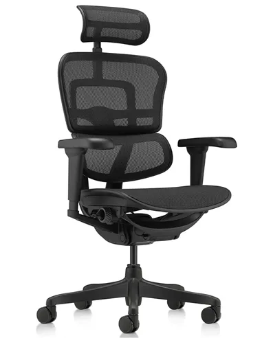 Крісло ERGOHUMAN ULTRA ALL BLACK (EHU-BB-HAM-4D, сітка T-168-B1 BLACK), ергономічне