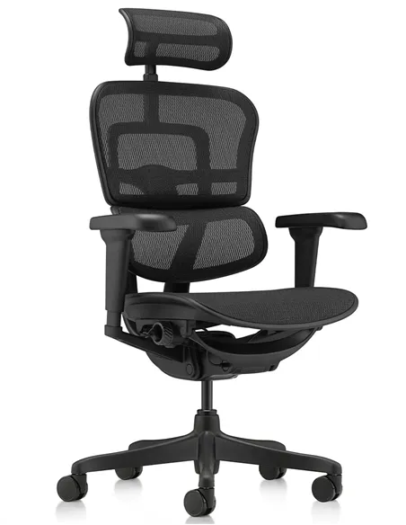 Крісло ERGOHUMAN ULTRA ALL BLACK (EHU-BB-HAM-4D, сітка T-168-B1 BLACK), ергономічне