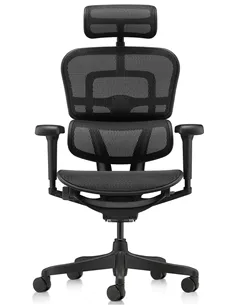 Крісло ERGOHUMAN ULTRA ALL BLACK (EHU-BB-HAM-4D, сітка T-168-B1 BLACK), ергономічне 2