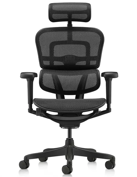 Крісло ERGOHUMAN ULTRA ALL BLACK (EHU-BB-HAM-4D, сітка T-168-B1 BLACK), ергономічне