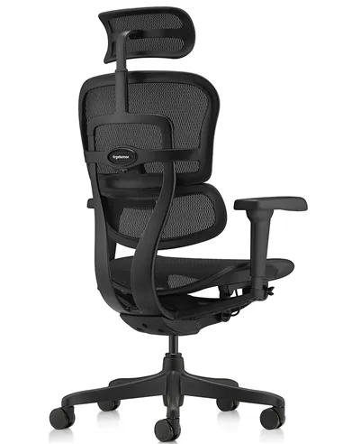 Крісло ERGOHUMAN ULTRA ALL BLACK (EHU-BB-HAM-4D, сітка T-168-B1 BLACK), ергономічне