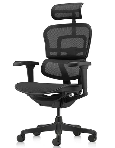 Крісло ERGOHUMAN ULTRA ALL BLACK (EHU-BB-HAM-4D, сітка T-168-B1 BLACK), ергономічне