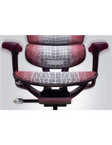 Крісло Ergohuman HC Suparnin Purple & Red