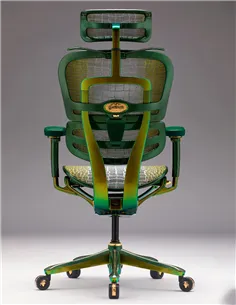 Крісло Ergohuman HC Suparnin Green & Gold 2