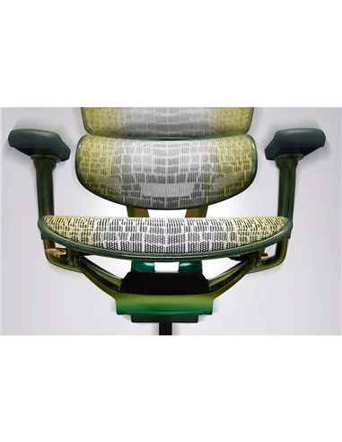 Крісло Ergohuman HC Suparnin Green & Gold