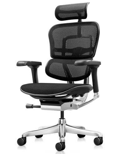 Крісло ERGOHUMAN ELITE 2 (EHE2-AB-HBM-F-5D-L), ергономічне, з тканинним сидінням