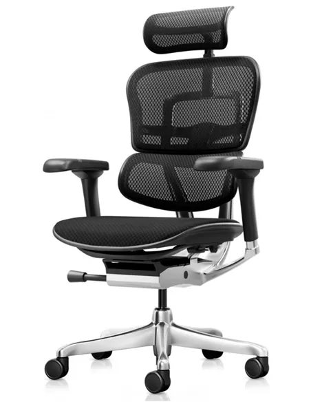 Крісло ERGOHUMAN ELITE 2 (EHE2-AB-HBM-F-5D-L), ергономічне, з тканинним сидінням