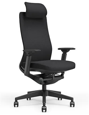 Крісло KRESLALUX GRAPHIS 8016-A BLACK, ергономічне