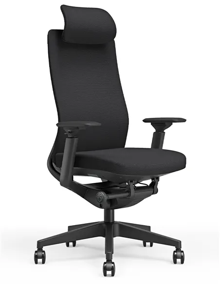 Крісло KRESLALUX GRAPHIS 8016-A BLACK, ергономічне
