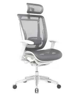 Крісло EXPERT SPRING (HSPM01-G) для керівника, ергономічне, колір сірий