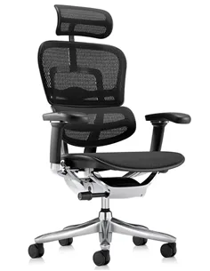 Крісло ERGOHUMAN LUXURY SE (EHSE-AB-HAM-5D-ST-D, сітка W945-01Black), ергономічне