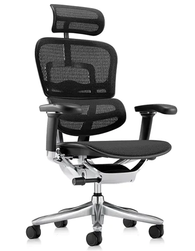Крісло ERGOHUMAN LUXURY SE (EHSE-AB-HAM-5D-ST-D, сітка W945-01Black), ергономічне