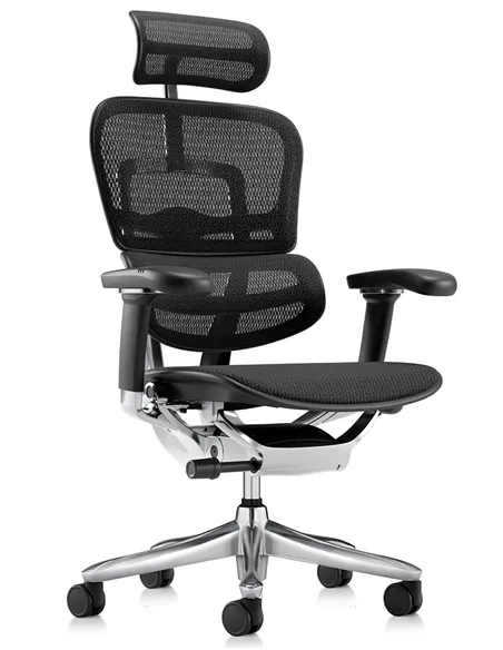 Крісло ERGOHUMAN LUXURY SE (EHSE-AB-HAM-5D-ST-D, сітка W945-01Black), ергономічне