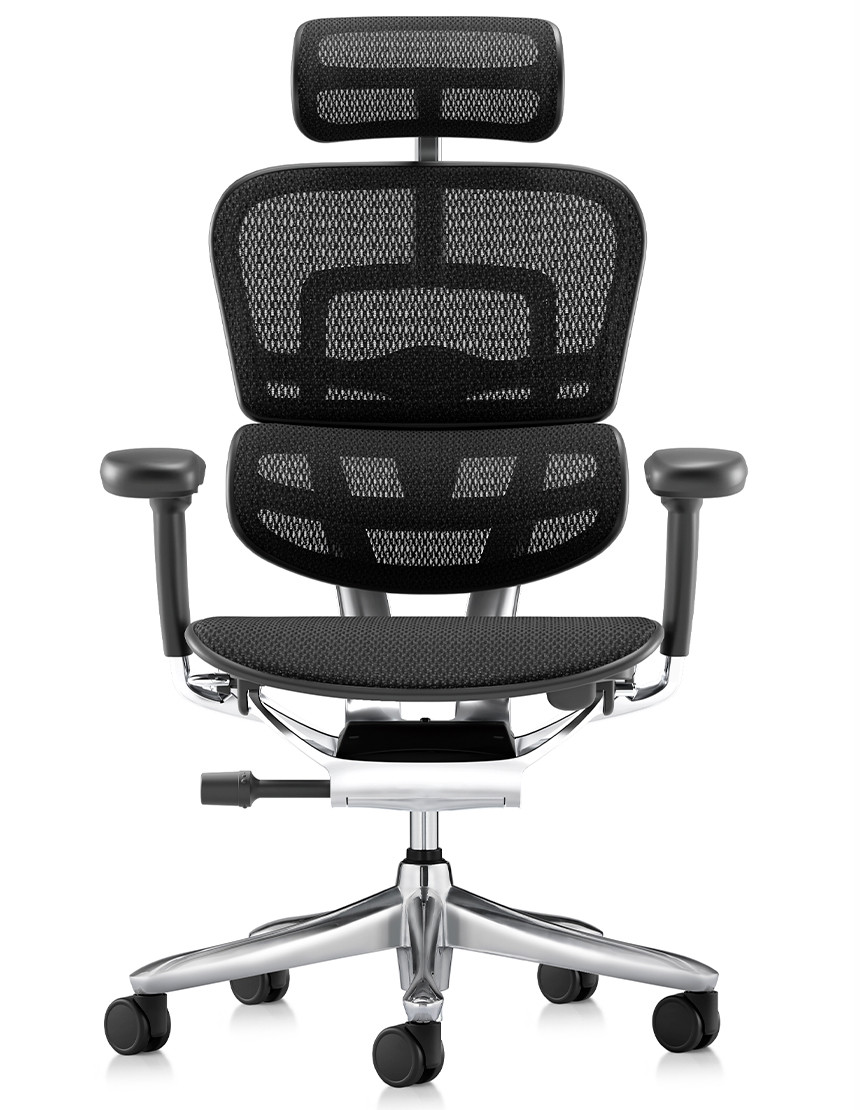 Крісло ERGOHUMAN LUXURY SE (EHSE-AB-HAM-5D-ST-D, сітка W945-01Black), ергономічне 2