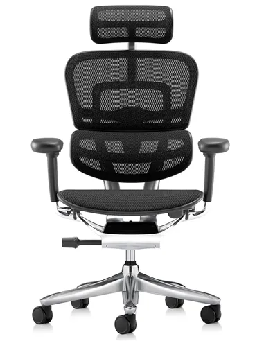 Крісло ERGOHUMAN LUXURY SE (EHSE-AB-HAM-5D-ST-D, сітка W945-01Black), ергономічне