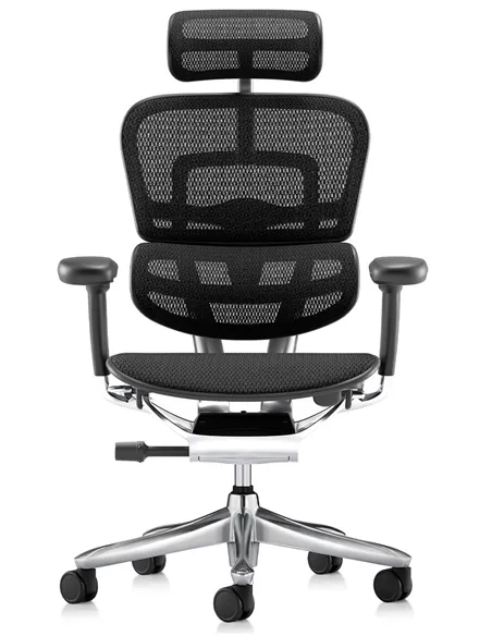 Крісло ERGOHUMAN LUXURY SE (EHSE-AB-HAM-5D-ST-D, сітка W945-01Black), ергономічне