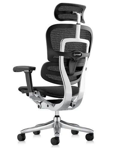 Крісло ERGOHUMAN LUXURY SE (EHSE-AB-HAM-5D-ST-D, сітка W945-01Black), ергономічне