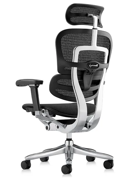 Крісло ERGOHUMAN LUXURY SE (EHSE-AB-HAM-5D-ST-D, сітка W945-01Black), ергономічне