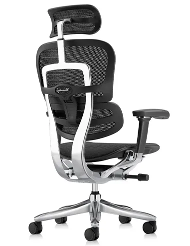 Крісло ERGOHUMAN LUXURY SE (EHSE-AB-HAM-5D-ST-D, сітка W945-01Black), ергономічне