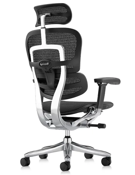 Крісло ERGOHUMAN LUXURY SE (EHSE-AB-HAM-5D-ST-D, сітка W945-01Black), ергономічне