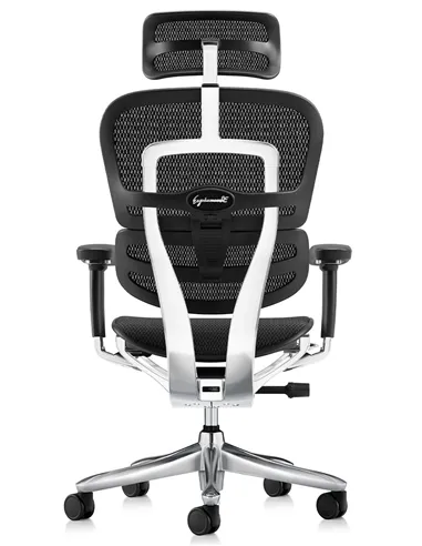 Крісло ERGOHUMAN LUXURY SE (EHSE-AB-HAM-5D-ST-D, сітка W945-01Black), ергономічне