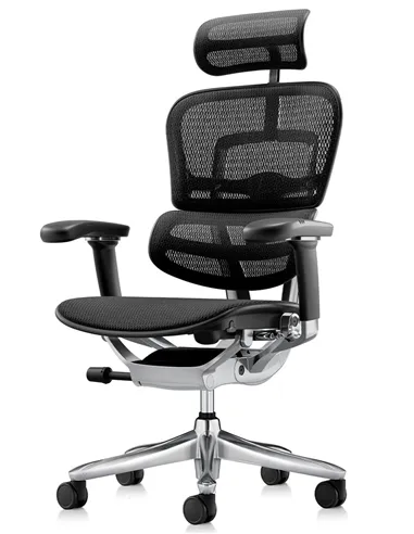 Крісло ERGOHUMAN LUXURY SE (EHSE-AB-HAM-5D-ST-D, сітка W945-01Black), ергономічне