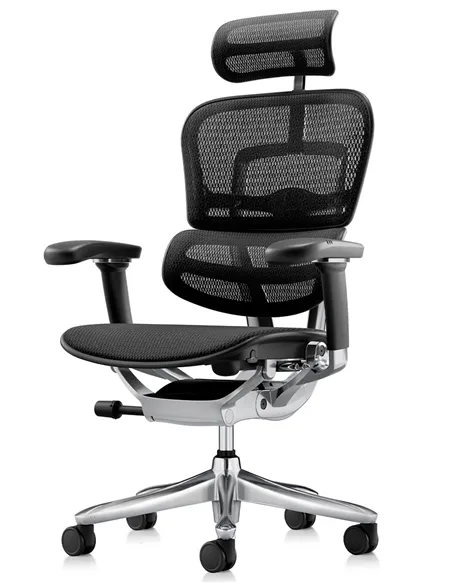 Крісло ERGOHUMAN LUXURY SE (EHSE-AB-HAM-5D-ST-D, сітка W945-01Black), ергономічне