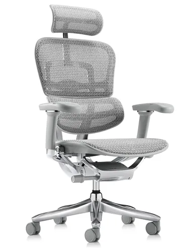Крісло ERGOHUMAN LUXURY SE (EHSE-AG-HAM-5D-ST-D, сітка W945-24 White), ергономічне