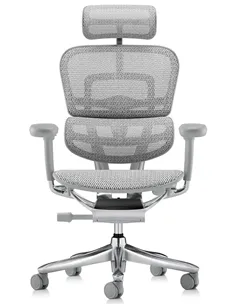 Крісло ERGOHUMAN LUXURY SE (EHSE-AG-HAM-5D-ST-D, сітка W945-24 White), ергономічне 2