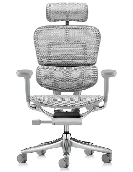 Крісло ERGOHUMAN LUXURY SE (EHSE-AG-HAM-5D-ST-D, сітка W945-24 White), ергономічне