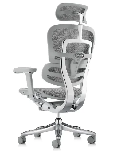 Крісло ERGOHUMAN LUXURY SE (EHSE-AG-HAM-5D-ST-D, сітка W945-24 White), ергономічне