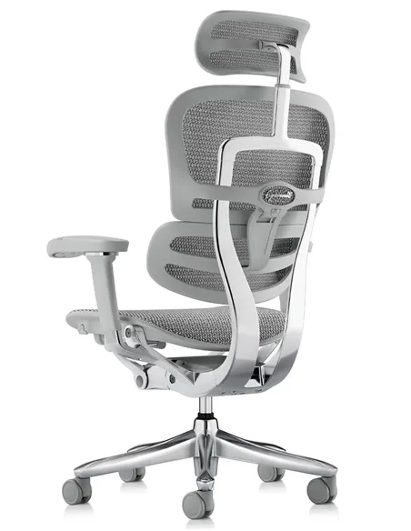 Крісло ERGOHUMAN LUXURY SE (EHSE-AG-HAM-5D-ST-D, сітка W945-24 White), ергономічне