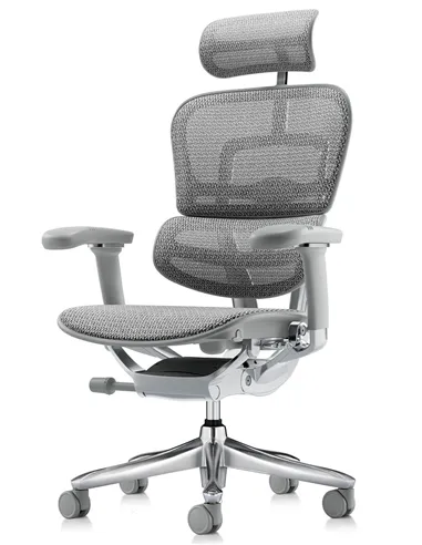 Крісло ERGOHUMAN LUXURY SE (EHSE-AG-HAM-5D-ST-D, сітка W945-24 White), ергономічне