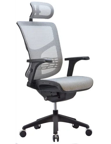 Кресло EXPERT VISTA (VSM01), эргономичное