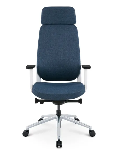 Крісло KRESLALUX FILO-A WHITE (Blue + Blue) ергономічне