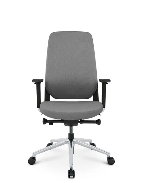 Крісло KRESLALUX FILO-B (Grey + Grey), ергономічне
