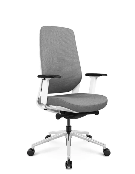Крісло KRESLALUX FILO-B WHITE (Grey + Grey) ергономічне
