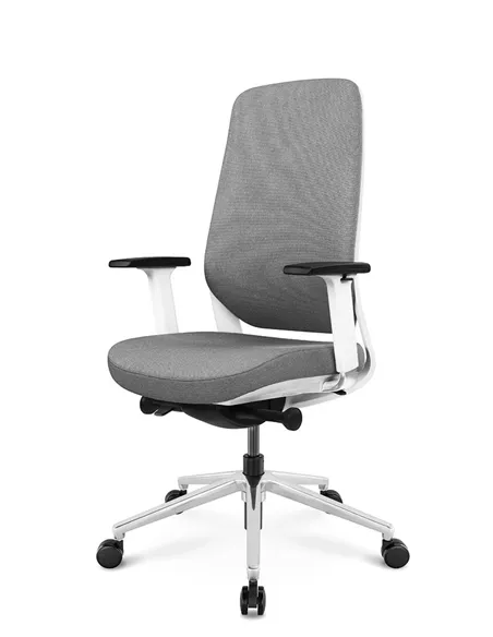 Крісло KRESLALUX FILO-B WHITE (Grey + Grey) ергономічне