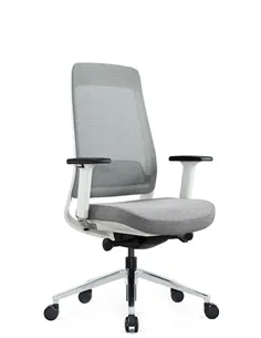 Крісло KRESLALUX FILO-B1 WHITE (Grey + Grey) ергономічне