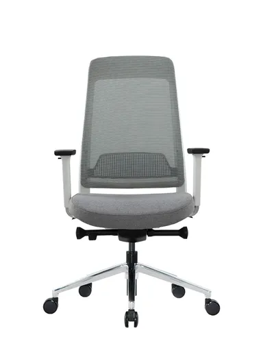 Крісло KRESLALUX FILO-B1 WHITE (Grey + Grey) ергономічне
