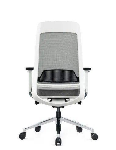 Крісло KRESLALUX FILO-B1 WHITE (Grey + Grey) ергономічне